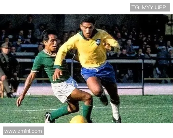 巴西足球明星排名揭晓谁是历史最佳球员的巅峰之争