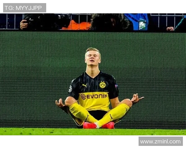 光头绅士的魅力足球场上的风度与风采 光头绅士的魅力足球场上的风度与风采