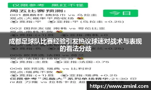 成都足球队比赛经验引发热议球迷对战术与表现的看法分歧
