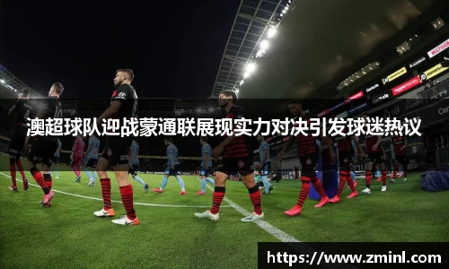 zoty中欧