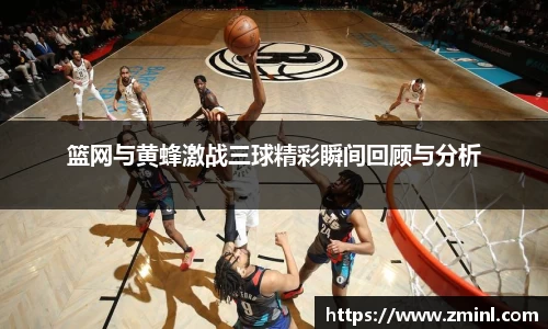 zoty中欧官网